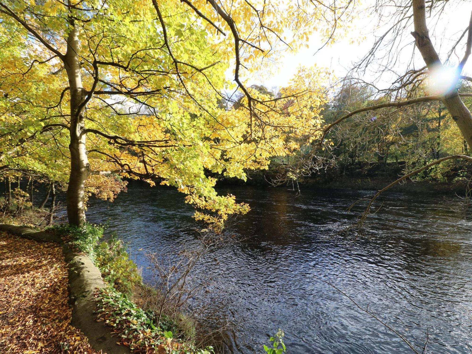 King'S Cottage Crakehall Екстериор снимка